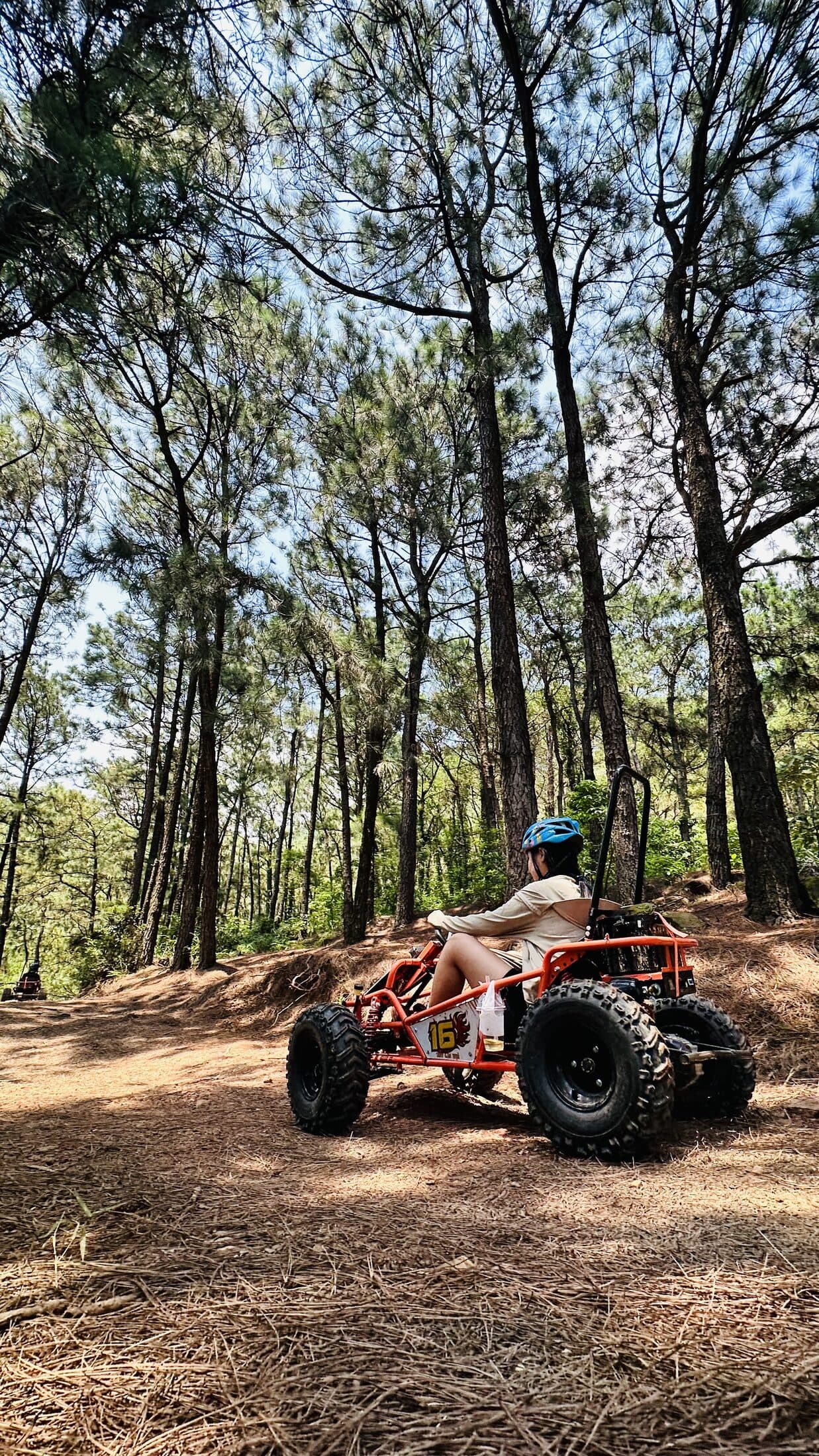 Xe địa hình off-road giữa rừng thông cao Sóc Sơn